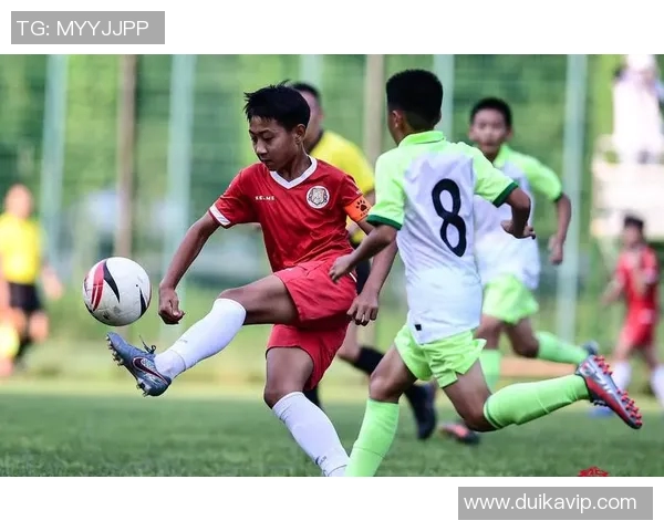 辽宁足球明星代言费用分析及市场影响探讨